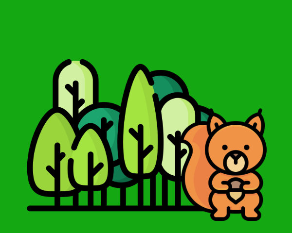 Forest Animals
